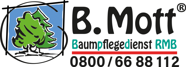 rmb_baumpflegedient_mott RMB Baumpflegedienst Mott