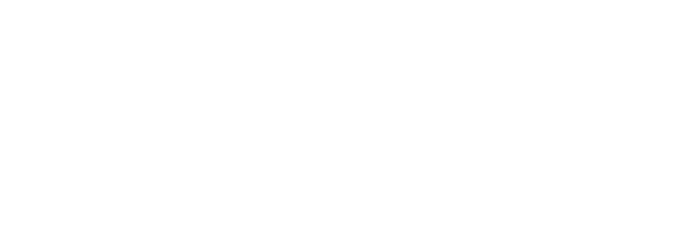 RMB Baumpflegedienst Mott